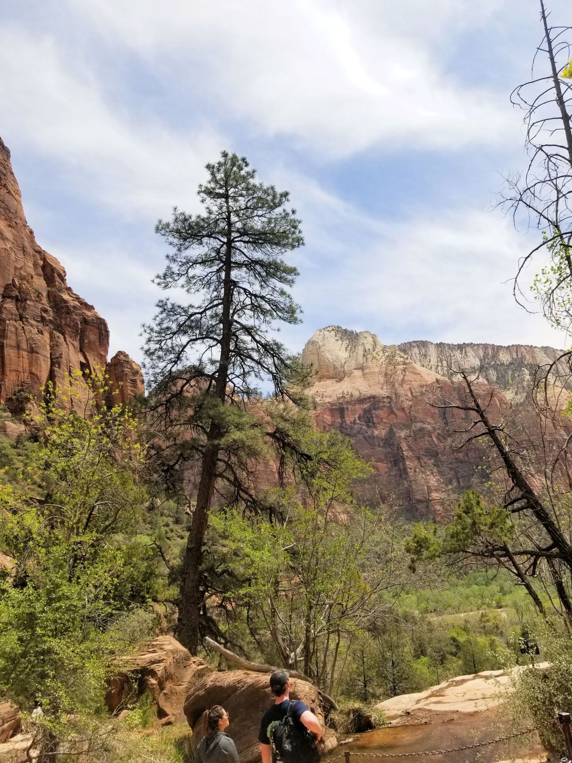 Emerald Pools Trails 